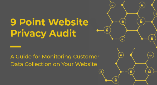 9 Point Website Privacy Audit